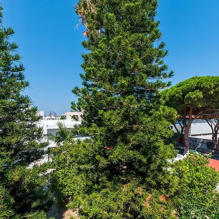 Apartmán Infinity *