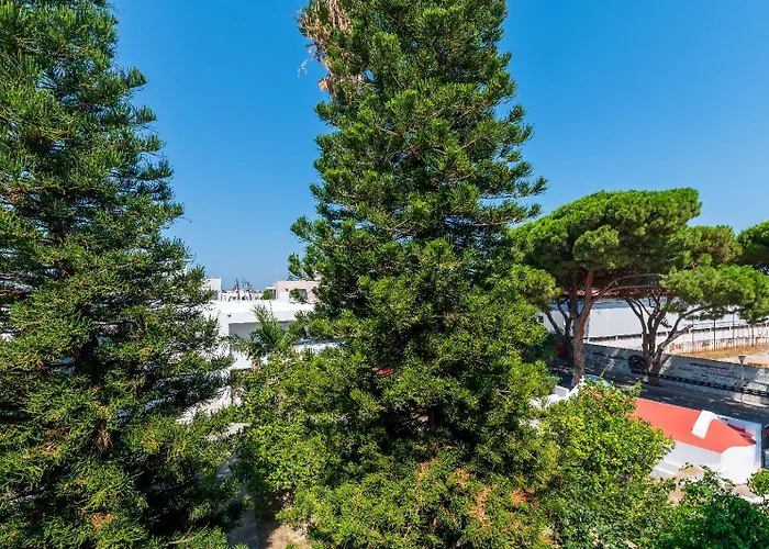 Apartment Infinity *